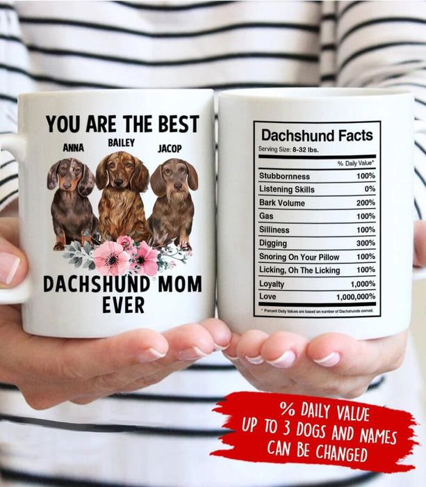 Personalized Dachshund Custom Mug - Dachshund Facts