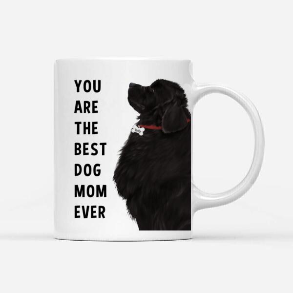 Personalized Newfoundland Mug - You Are The Best Dog Mom (Dog Dad) Ever
