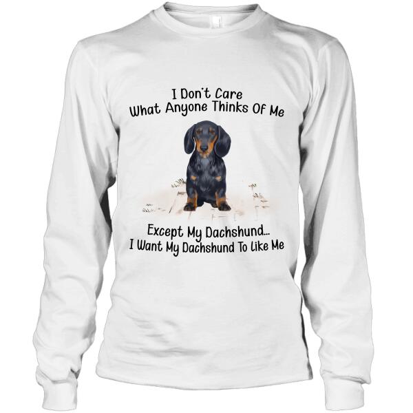 Personalized Dachshund Custom Shirt - I Don't Care What Anyone Thinks Of Me Except My Dachshund I Want My Dachshund To Like Me