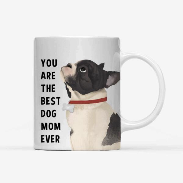 Personalized French Bulldog Custom Mug - You Are The Best Dog Mom Ever