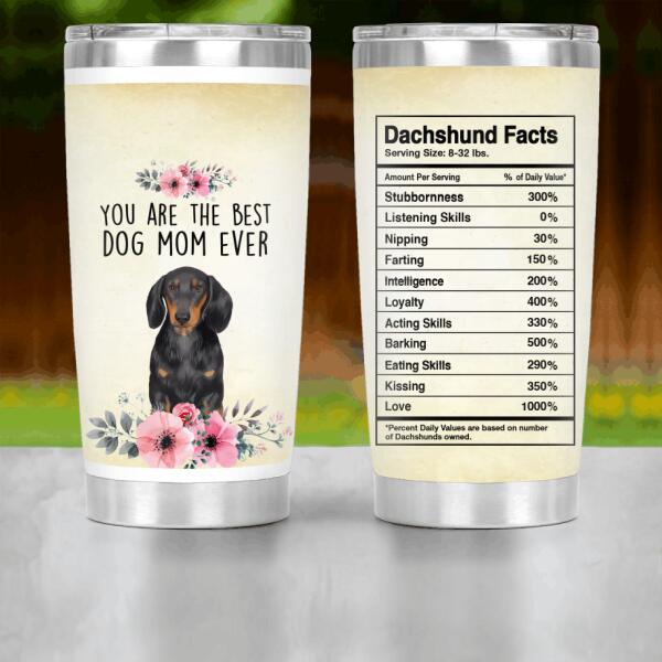 Personalized Dachshund Custom Tumbler - Dachshund Facts
