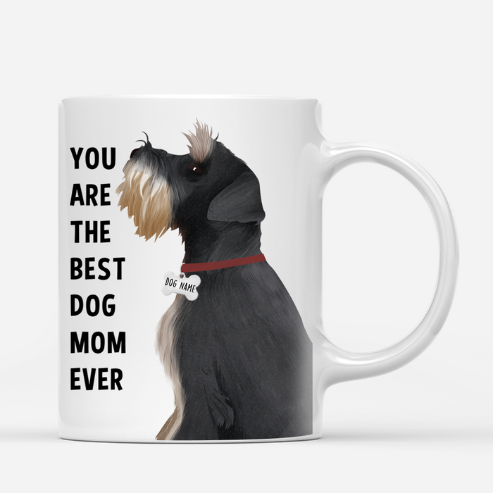 Personalized Schnauzer Mug - You Are Best Dog Mom - Dog Dad Ever